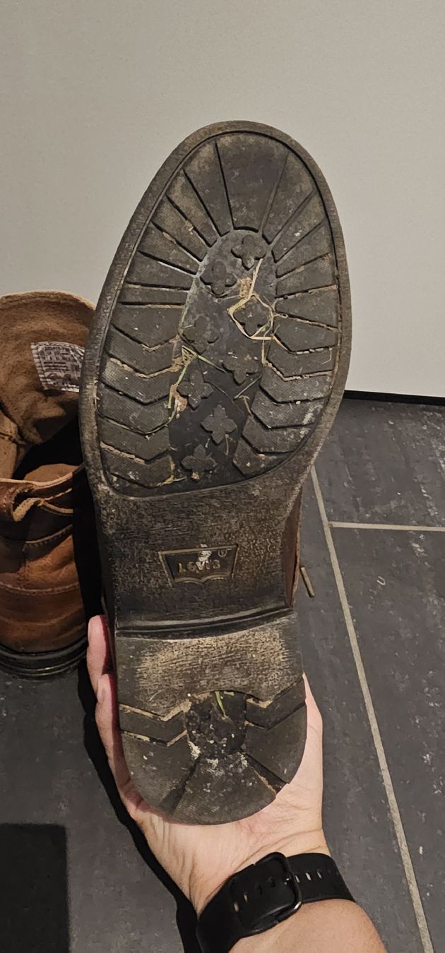 Levi's Scarpe da uomo: Herrenschuhe – Usato da Hüntwangen venduto da piggy13 4