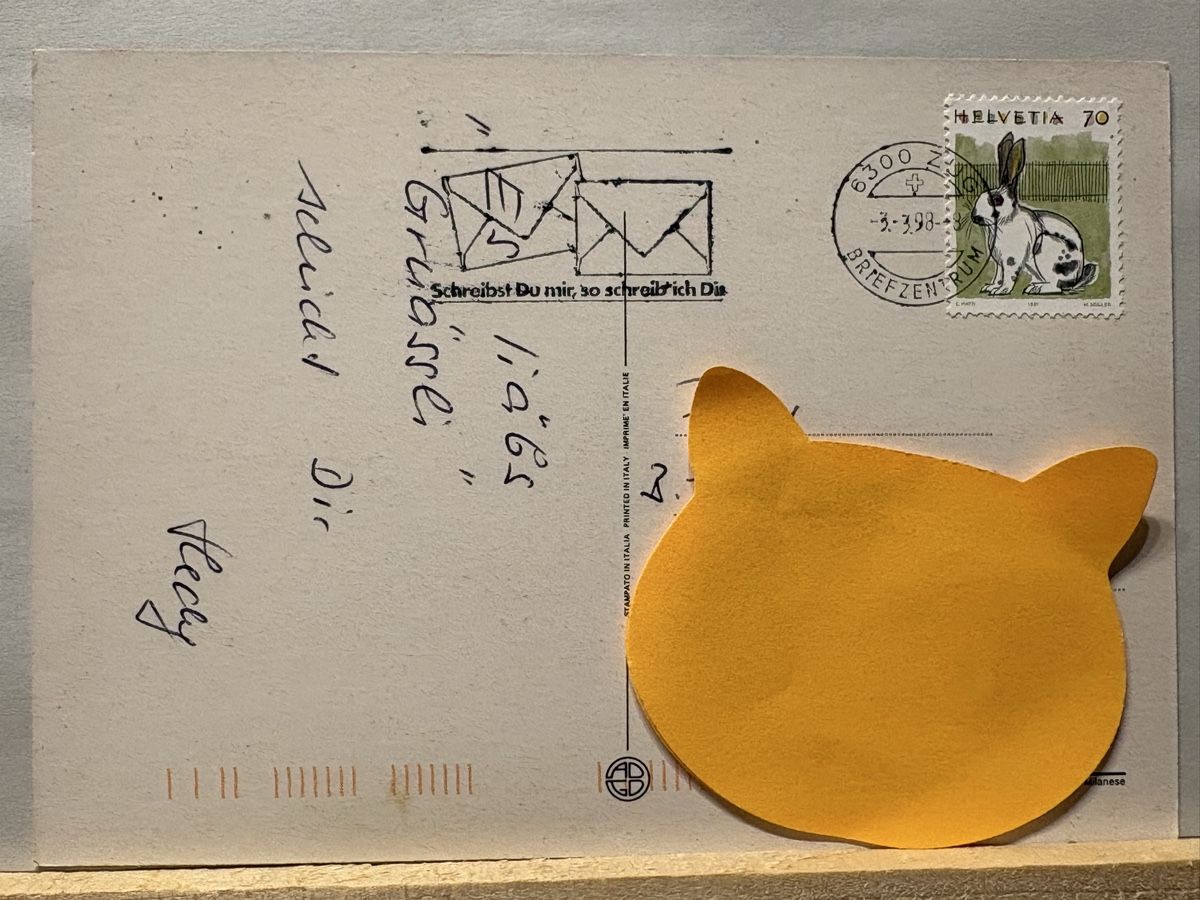 Cartoline postali: AK von Katze mit Teddy Baer – Usato da Rümlang venduto da Kartenpost1 1