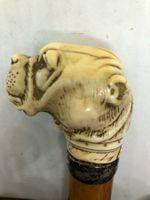 Antiker Gehstock / Spazierstock mit Hundekopf-Knauf