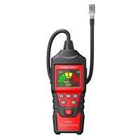 Gasdetektor mit Sonde