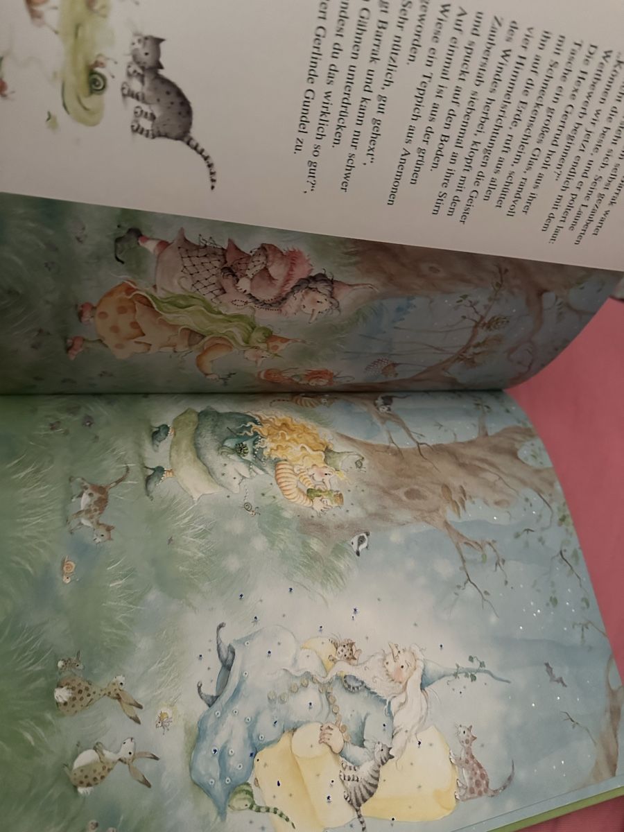 Libri: Frida, die kleine Waldhexe  – Usato da Uster venduto da bek_v2ct 5