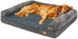 Lit pour chien