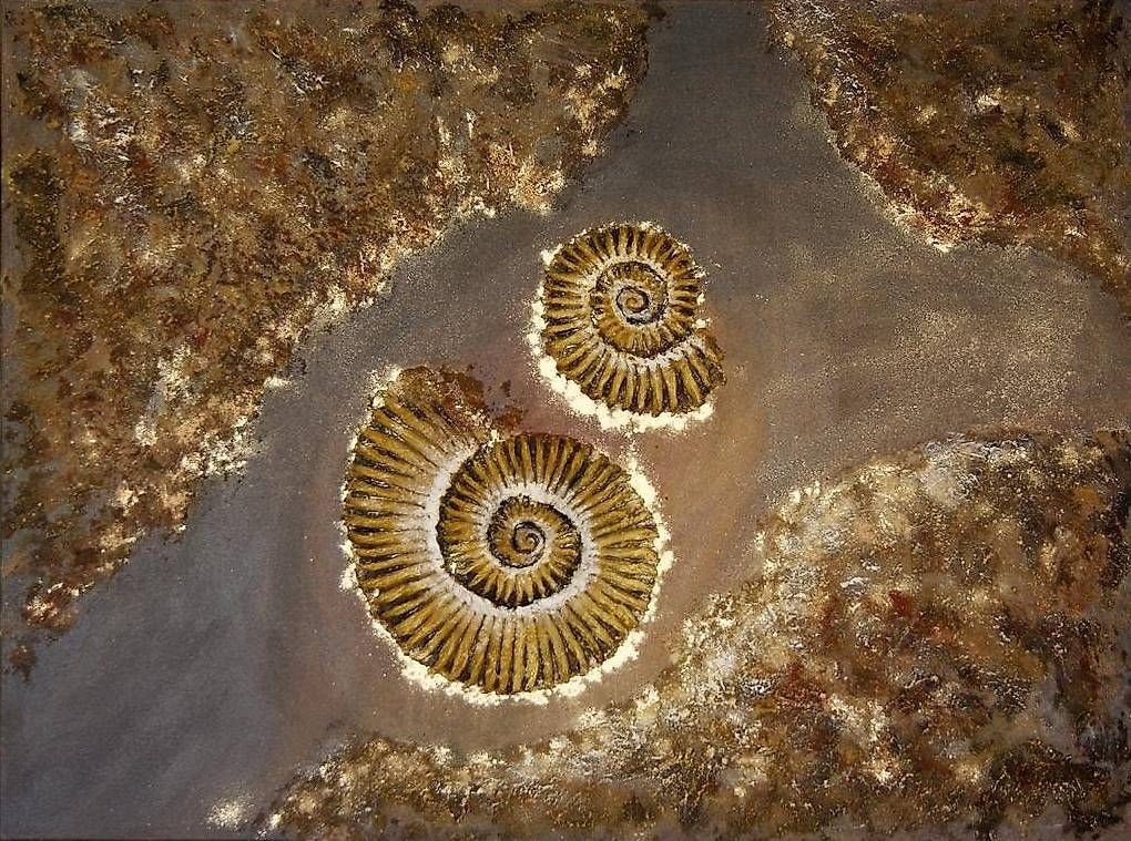 Dipinti: Acrylbild Ammoniten – Usato da Romanshorn venduto da Besan