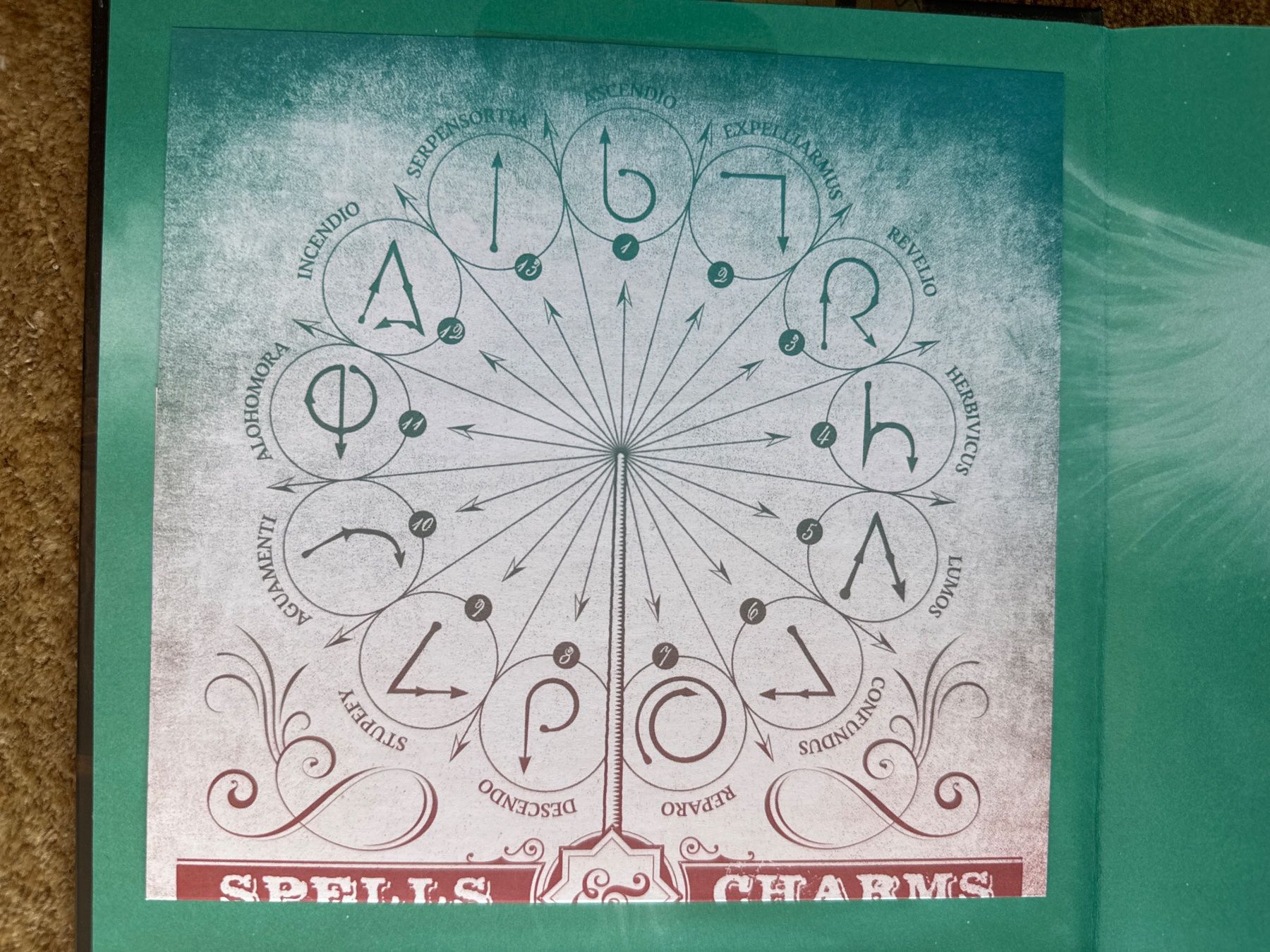 Libri: Harry Potter - Die Zaubersprüche – Nuovo (secondo la descrizione) da Aarau venduto da Kilauea 2