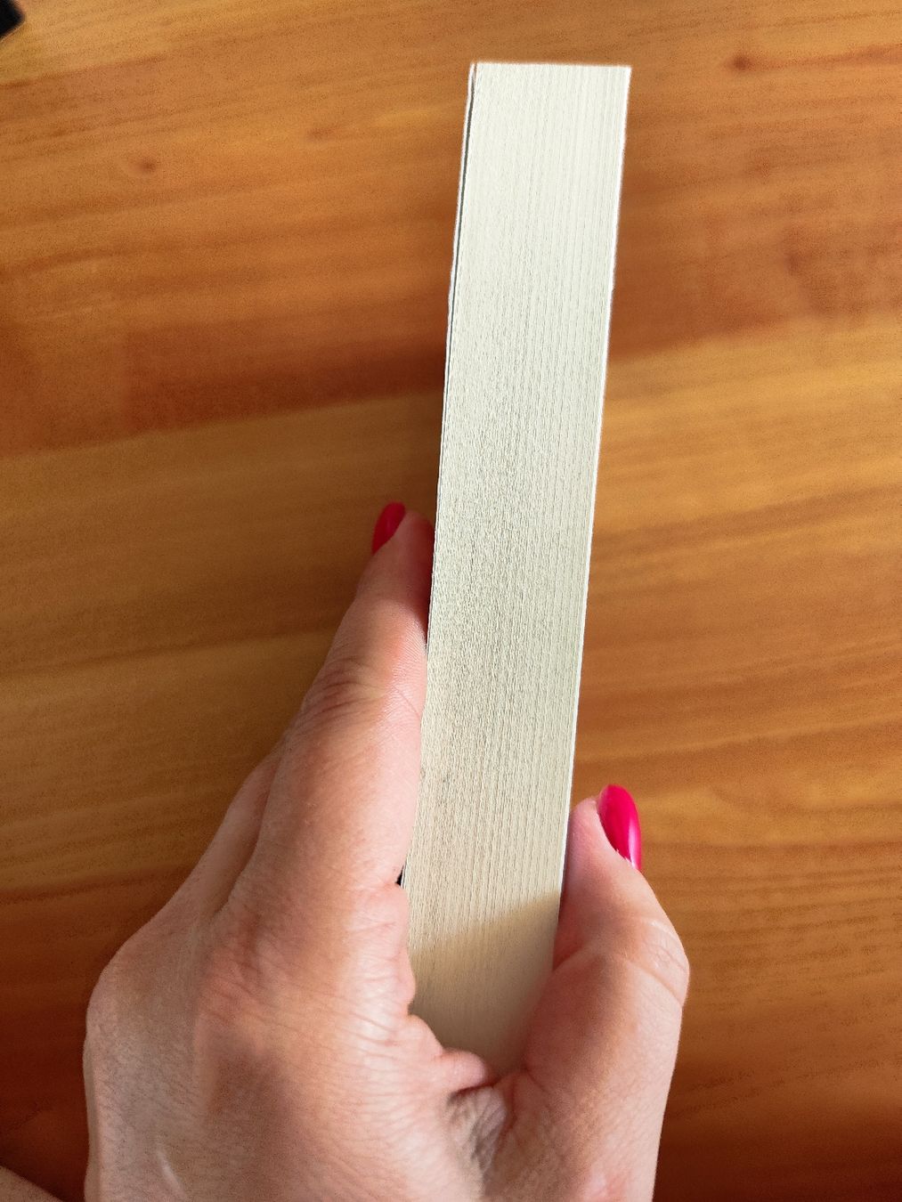 Libri: Burn On von Bert te Wildt Timo Schiele  – Usato da Mägenwil venduto da VintageGirly 2