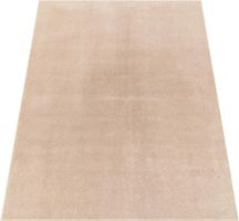 ANGEBOT ❌Teppich Wohnzimmer riesig! 240x340 BEIGE