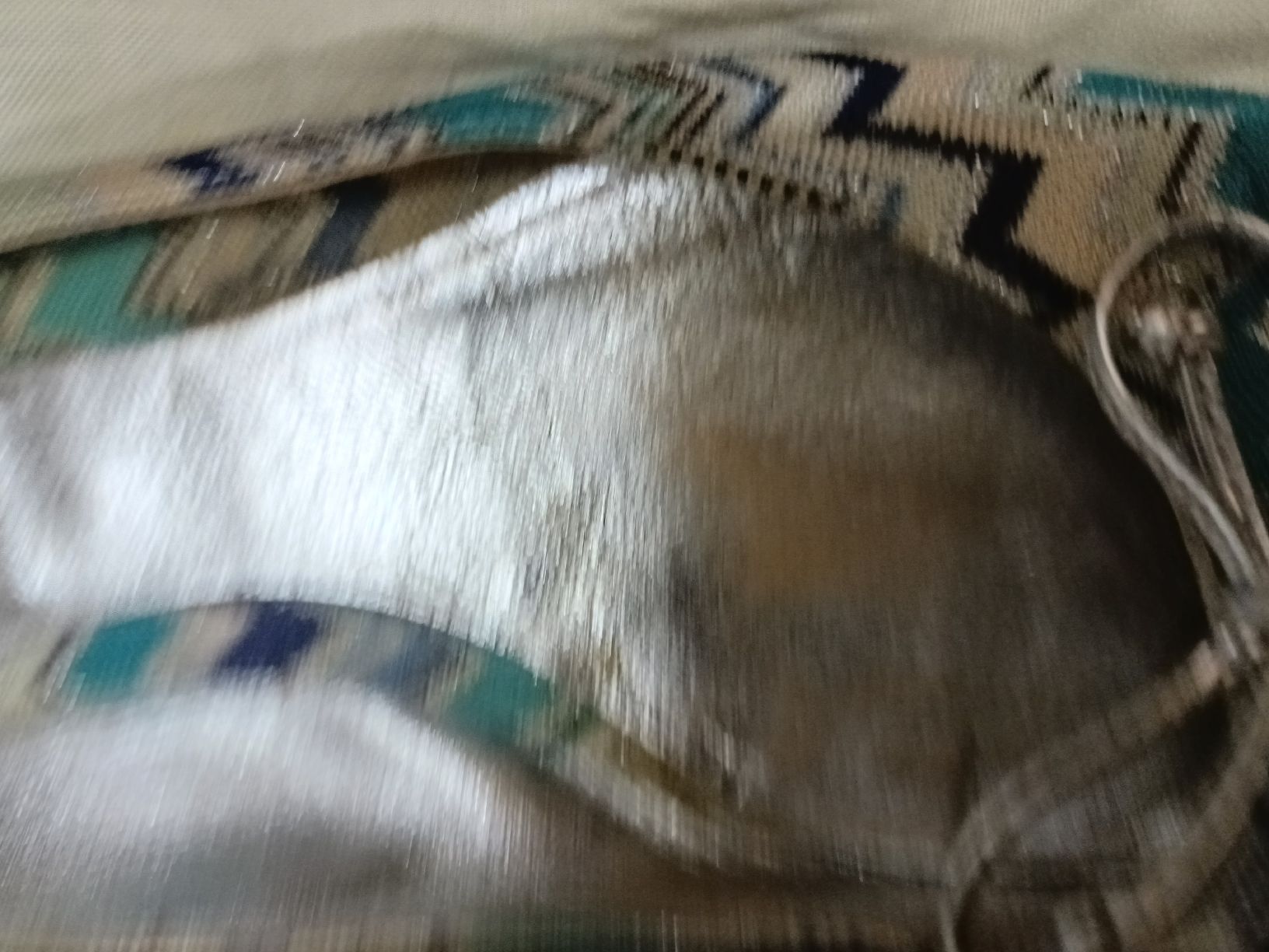 Damenschuhe: scarpe donna 39 Missoni ü – Gebraucht aus Lugano von ycd_rv8h 4