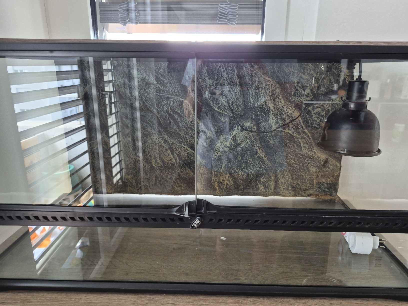 Terrario: Terrarium 90x45x45 inkl. Möbel – Usato da Wetzikon ZH venduto da Bytonixx 1