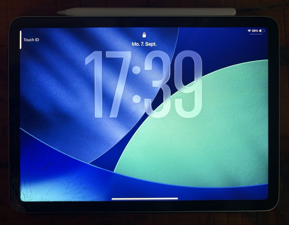 Apple Tablet PC: iPad Air 4. Generation – Gebraucht aus Zürich von lunie1234