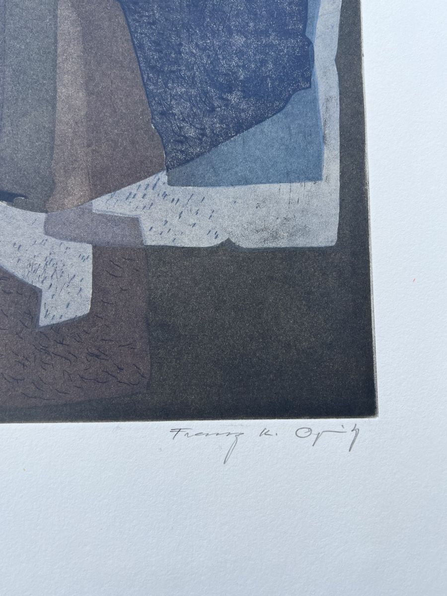 Grafica & Litografie: Franz Carl Opitz Farbradierung handsigniert nummieriert – Usato da Adliswil venduto da bilderboerse-zuerich 2
