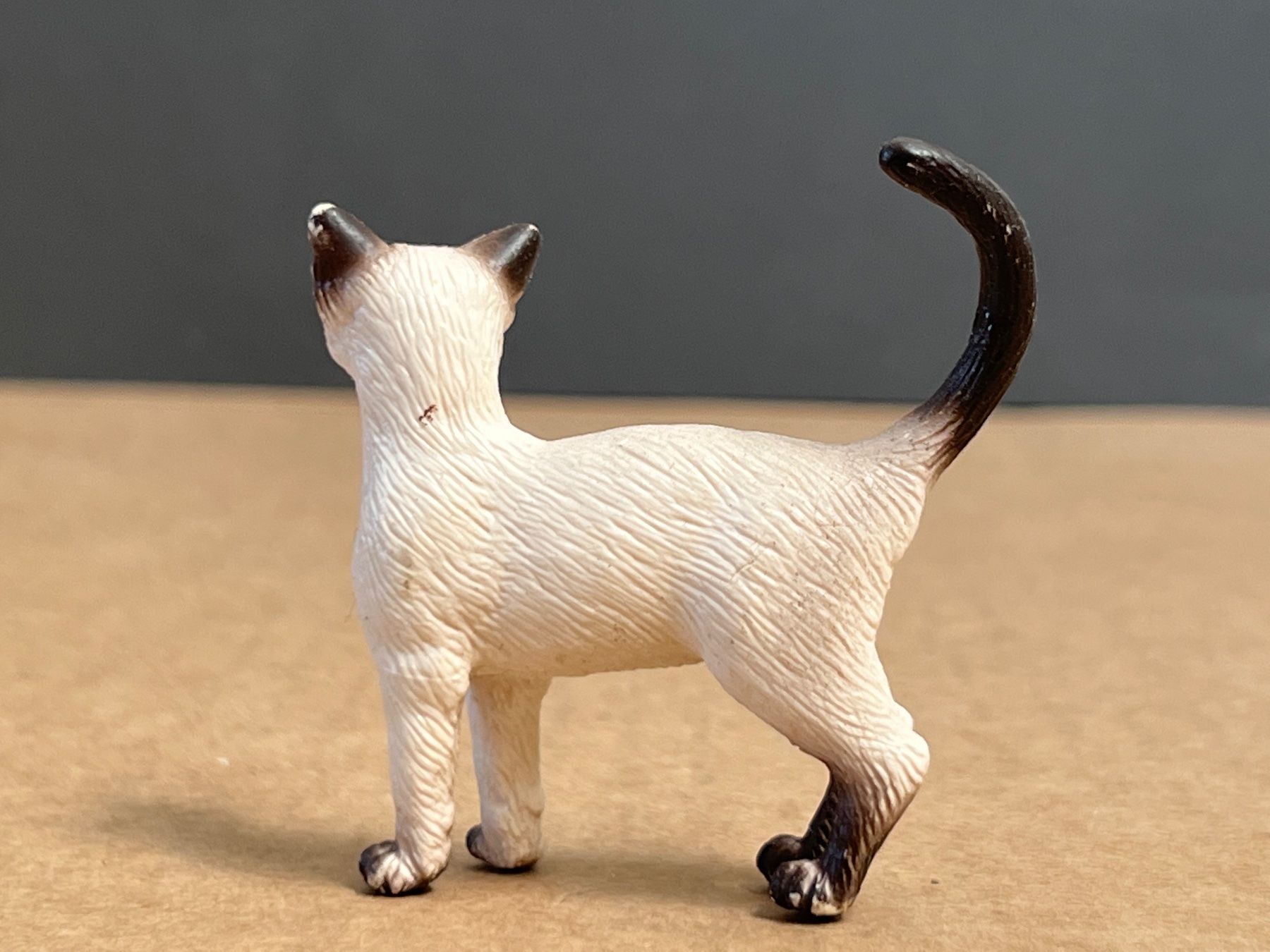 Schleich Statuette: Schleich 16653 Siam Katze Siamkatze – Usato da Ennetbaden venduto da mapa05 3