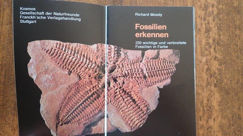 Bücher: Fossilien Bücher – Gebraucht aus Rickenbach BL von Oktober68 5
