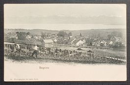 AK Weinberg BEGNINS Bauern Weinreben um 1900