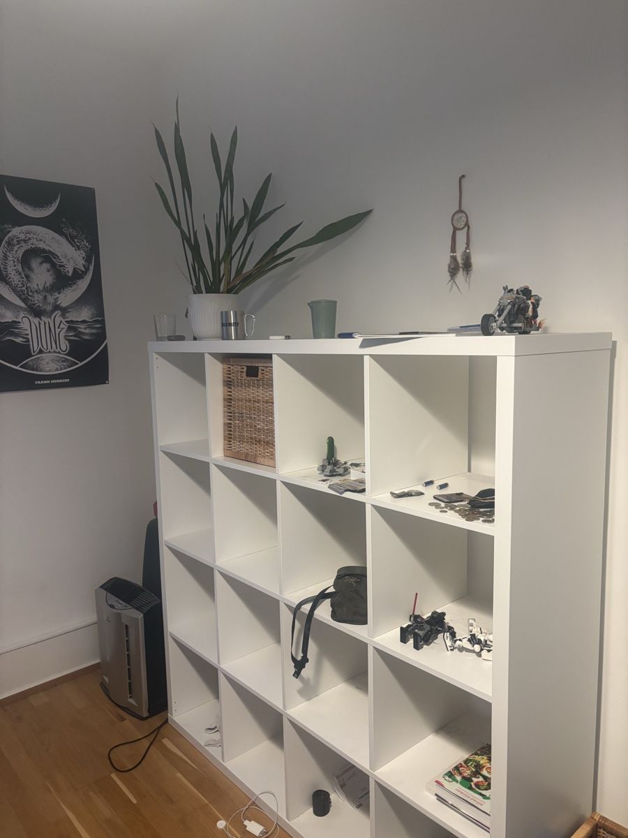 Ikea Scaffali: KALLAX Regal Gross Ikea – Usato da Basel venduto da mar_kjl9