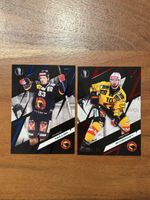 SportZoo Playoffs x/60 und x/30 SCB Bern