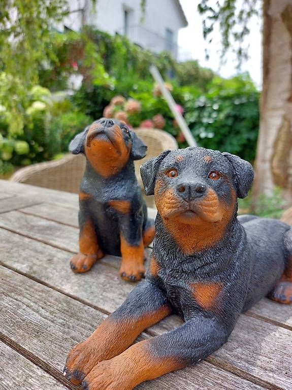 Alle Dekorationen: Hunde für Deko – Gebraucht aus Weinfelden von Mustang422