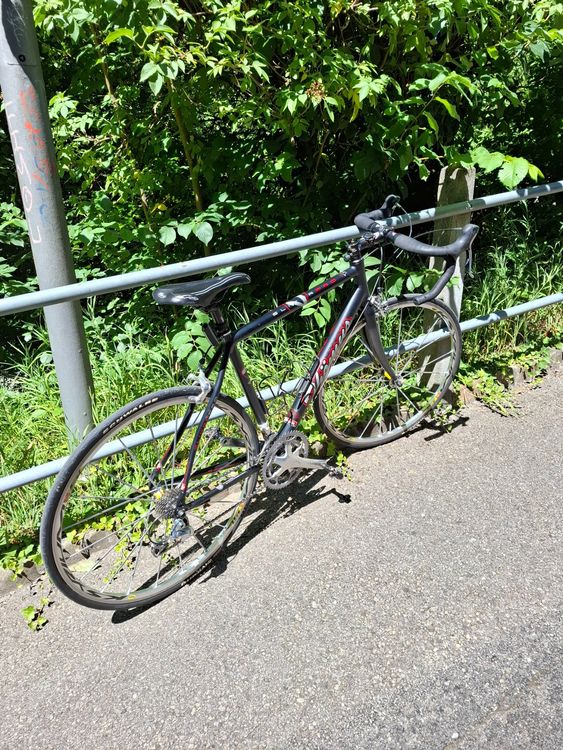 Thömus Biciclette: Rennvelo Thomas SLIKER PRO - Top Zustand – Usato da Bern venduto da Madagaskarpalme 2