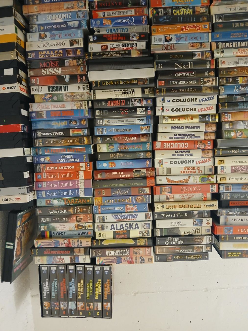 Tutti i VHS: lot d'environ 270 cassettes VHS – Usato da St-Cergue venduto da VeganWarrior 2