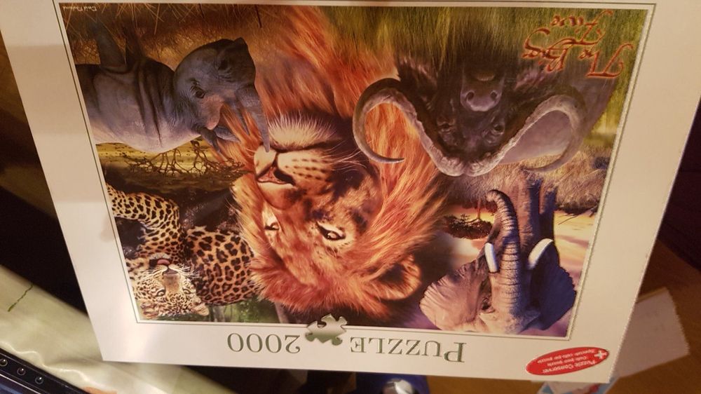 Puzzle 2000 Tlg The Big Five B | Kaufen Auf Ricardo