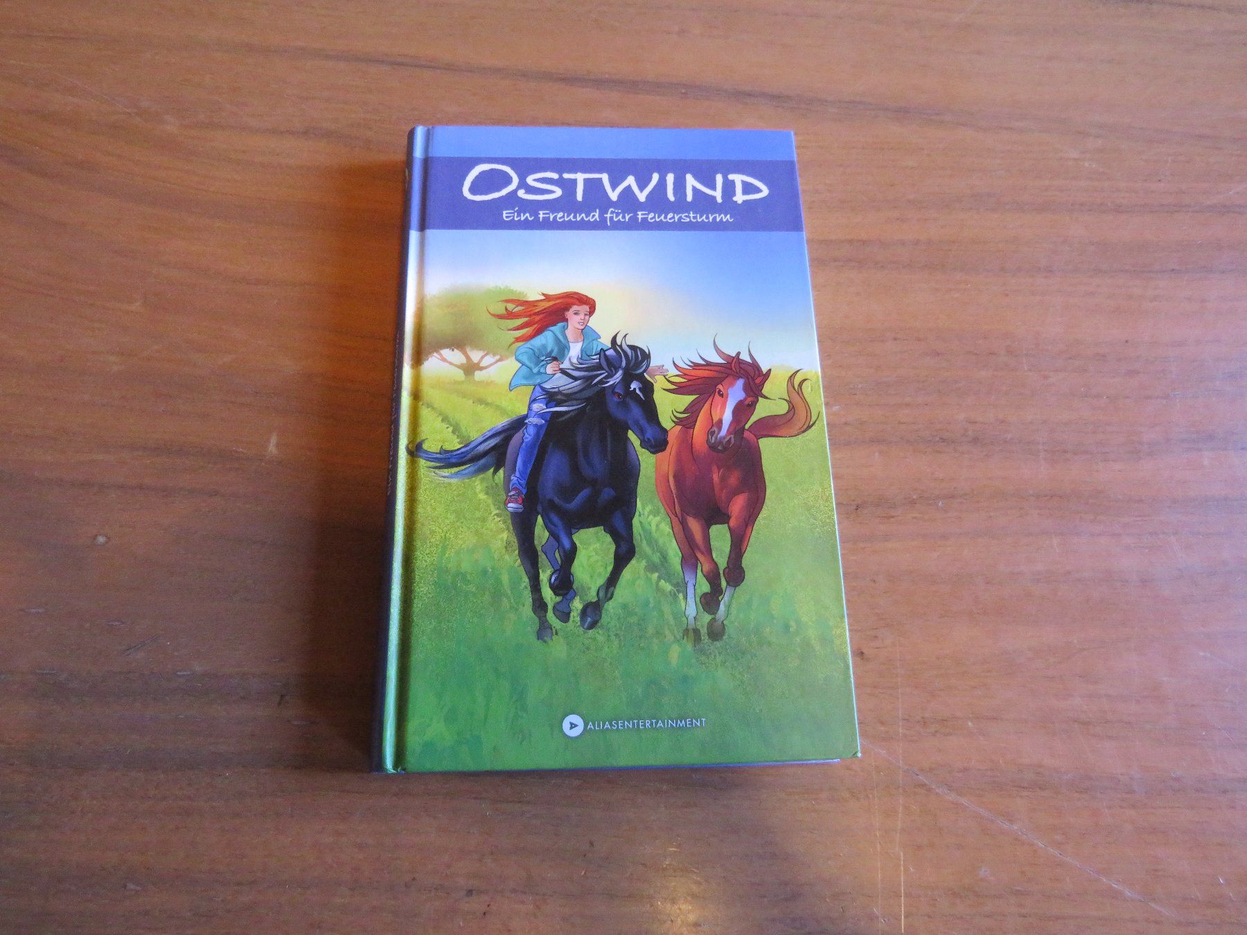 Libri: Ostwind, Ein Freund für Feuersturm – Usato da Luthern venduto da floluli
