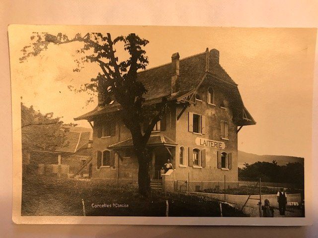 Cartoline postali: Corcelles s/Concise, von 1929 – Usato da Niederscherli venduto da Lucia16