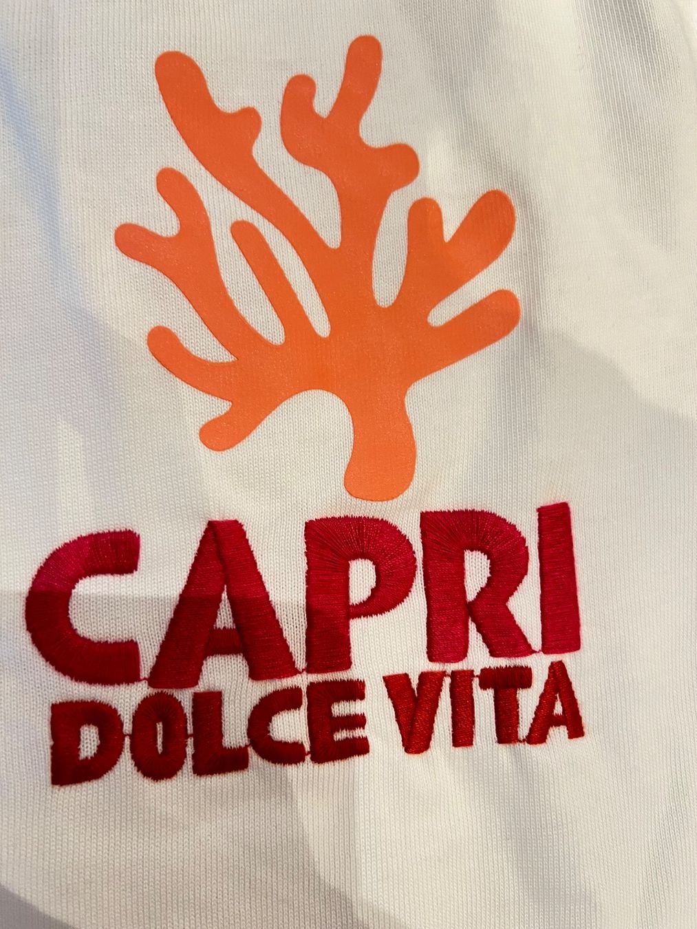 Zara T-shirt: Assouline Capri Thirt by Zara Gr. S – Nuovo (secondo la descrizione) da Kilchberg ZH venduto da Lisavivienne 1