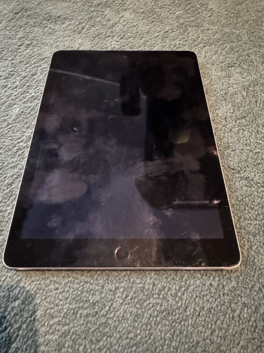 Apple Tablet PC: Apple iPad Air 2 – Difettoso da Adliswil venduto da Busys