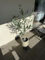 Dekorativer Fake Olivenbaum im Topf - bringt mediterranes