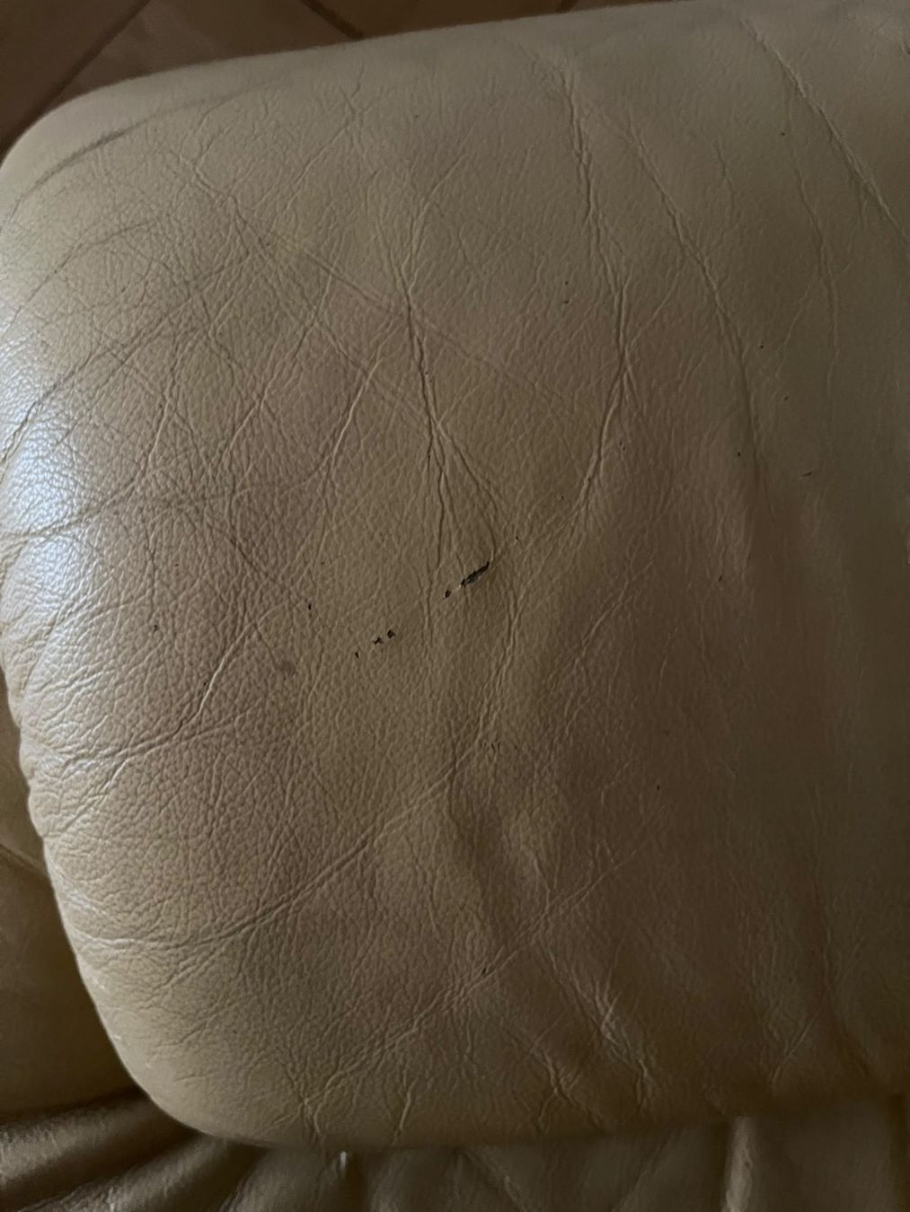 Sessel: Sessel – Gebraucht aus Jona von m.brun 4