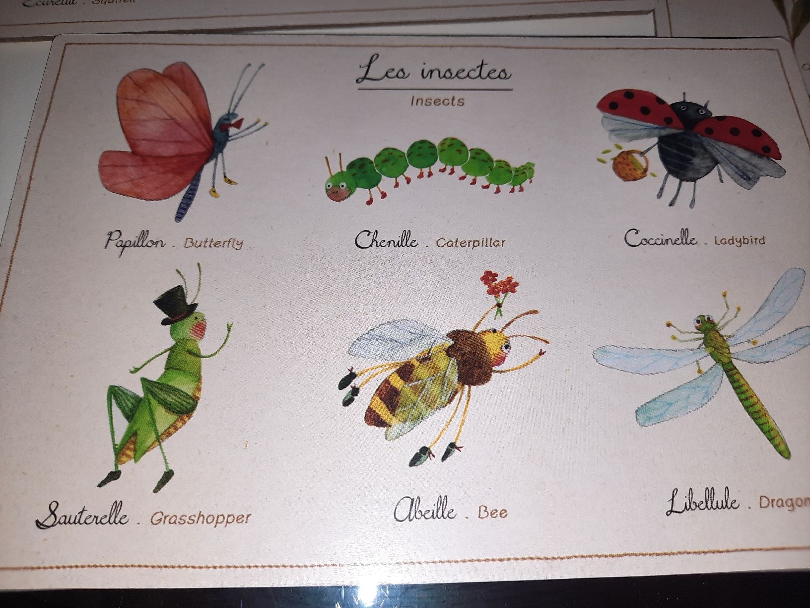 Giochi: Le loto de la nature – Usato da Biasca venduto da Old_6blh 1