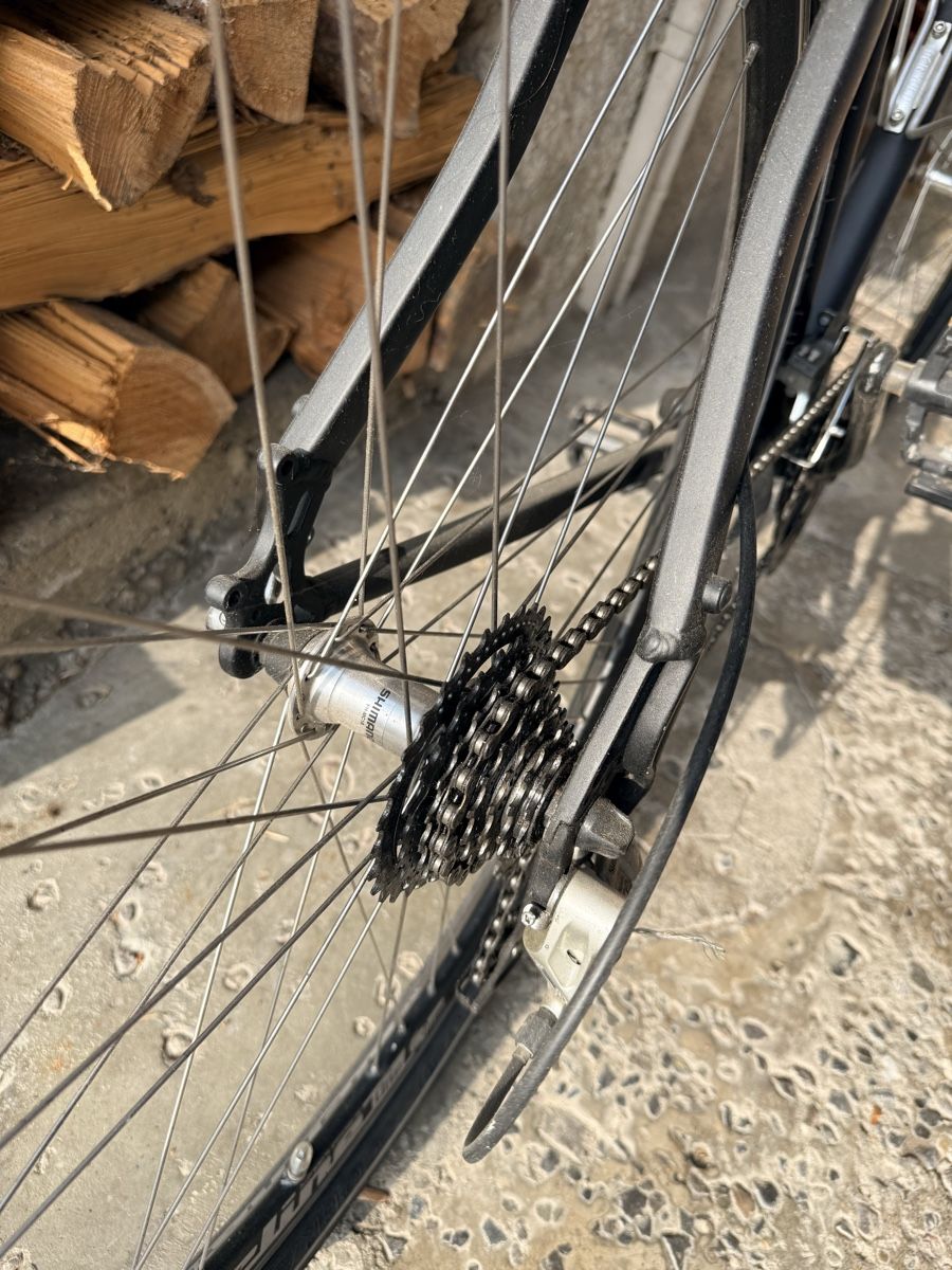 Gazelle Biciclette: Gazelle Fahrrad  – Usato da Schafisheim venduto da Flawiia 3