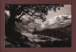 BERGAHORN bei Gorneren - 1948