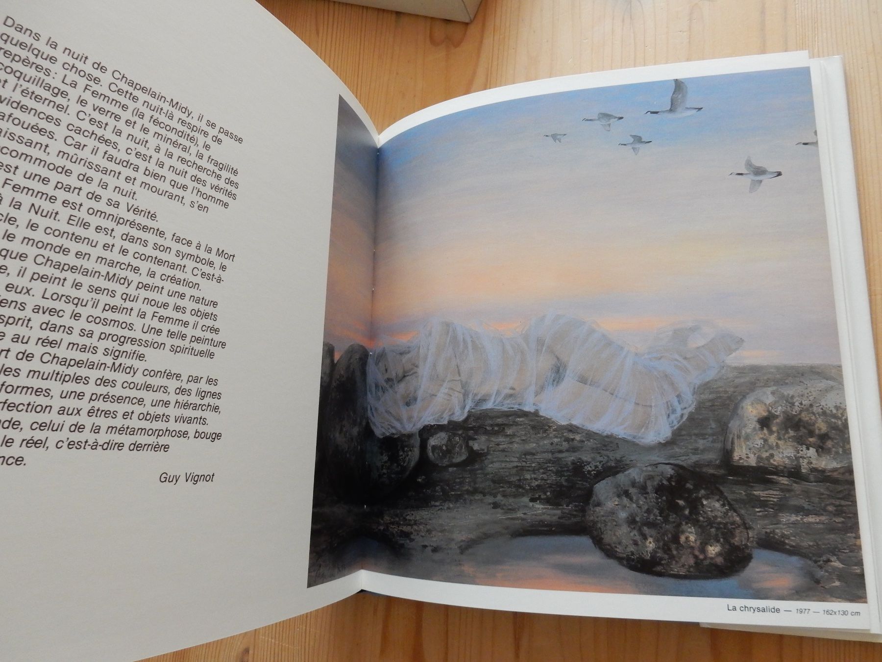 Libri: Buch Kunstbuch Katalog Roger Chapelain Midy Malerei – Usato da Jona venduto da JOberg_25 8