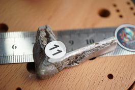 Aletai  20g mini Hammer  Eisenmeteor ab  20.- Räumung