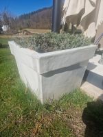Keramik Blumentopf