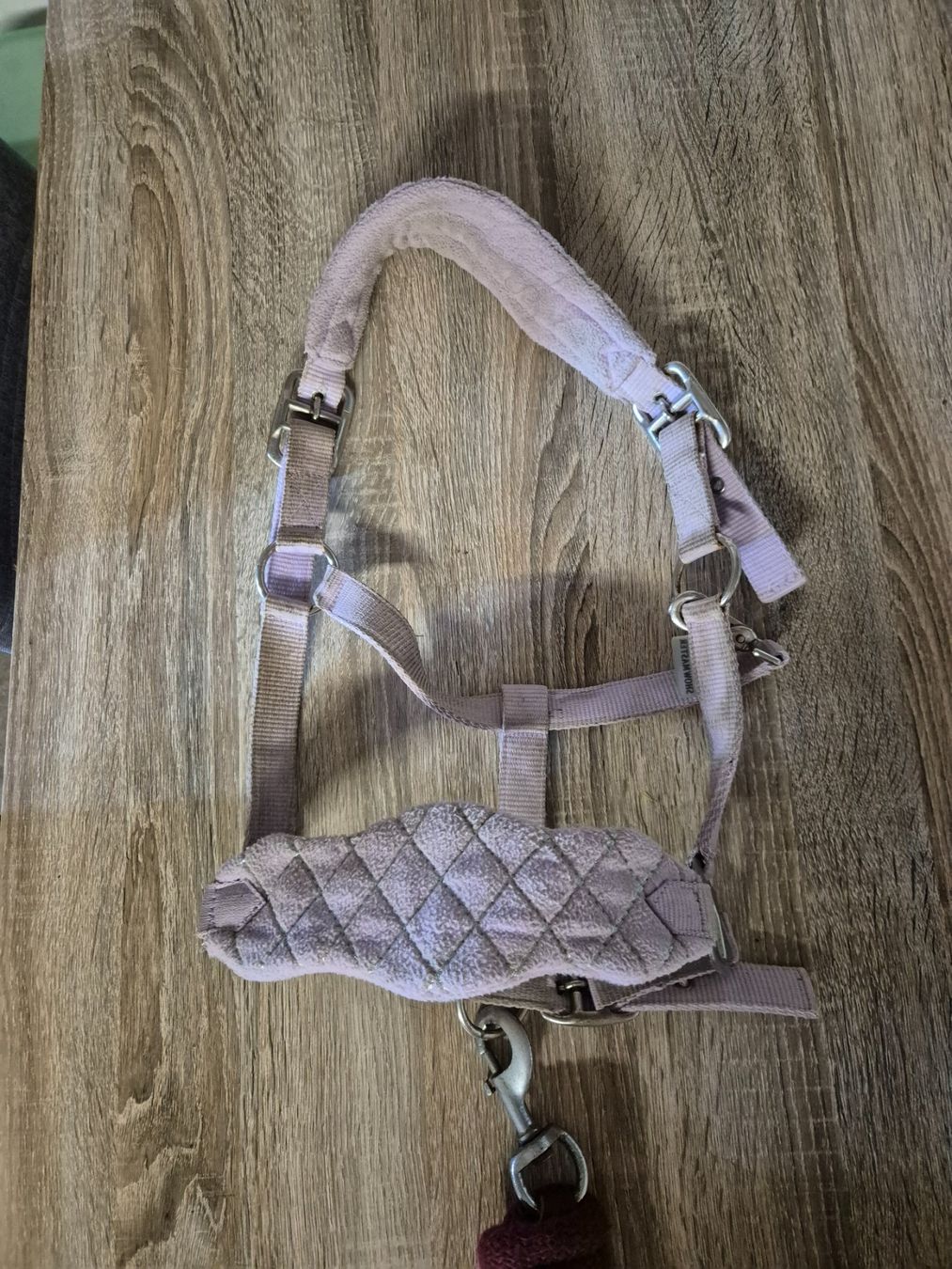 Brides, licols: Halfter Pony – D'occasion à Meggen par Orrinka20 1
