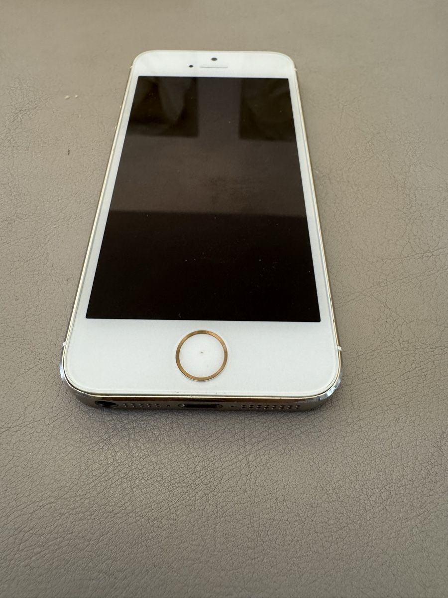 Apple Telefoni cellulari / Smartphones: iPhone 5s – Difettoso da Adliswil venduto da Busys