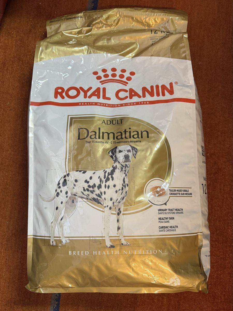 Royal Canin Nourriture: Hundefutter neu  – Neuf (Voir description) à Schlieren par Freundlich02