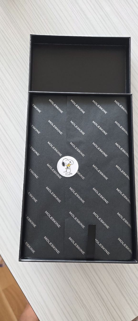 Blocchi: Peanuts X Moleskine Notebook – Nuovo e nell'imballaggio originale da Cham venduto da WFRRichter 2