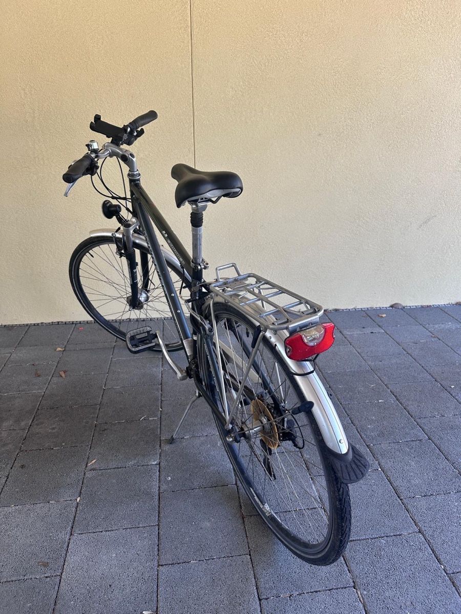 Wheeler Biciclette: Wheeler 2.3 Ecorider – Usato da St. Antoni venduto da SonnyCrocket92 4