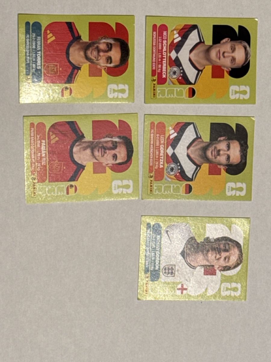Panini Carte collezionabili: Gute Karten WM 2026 – Nuovo (secondo la descrizione) da Stäfa venduto da eko_lkv8