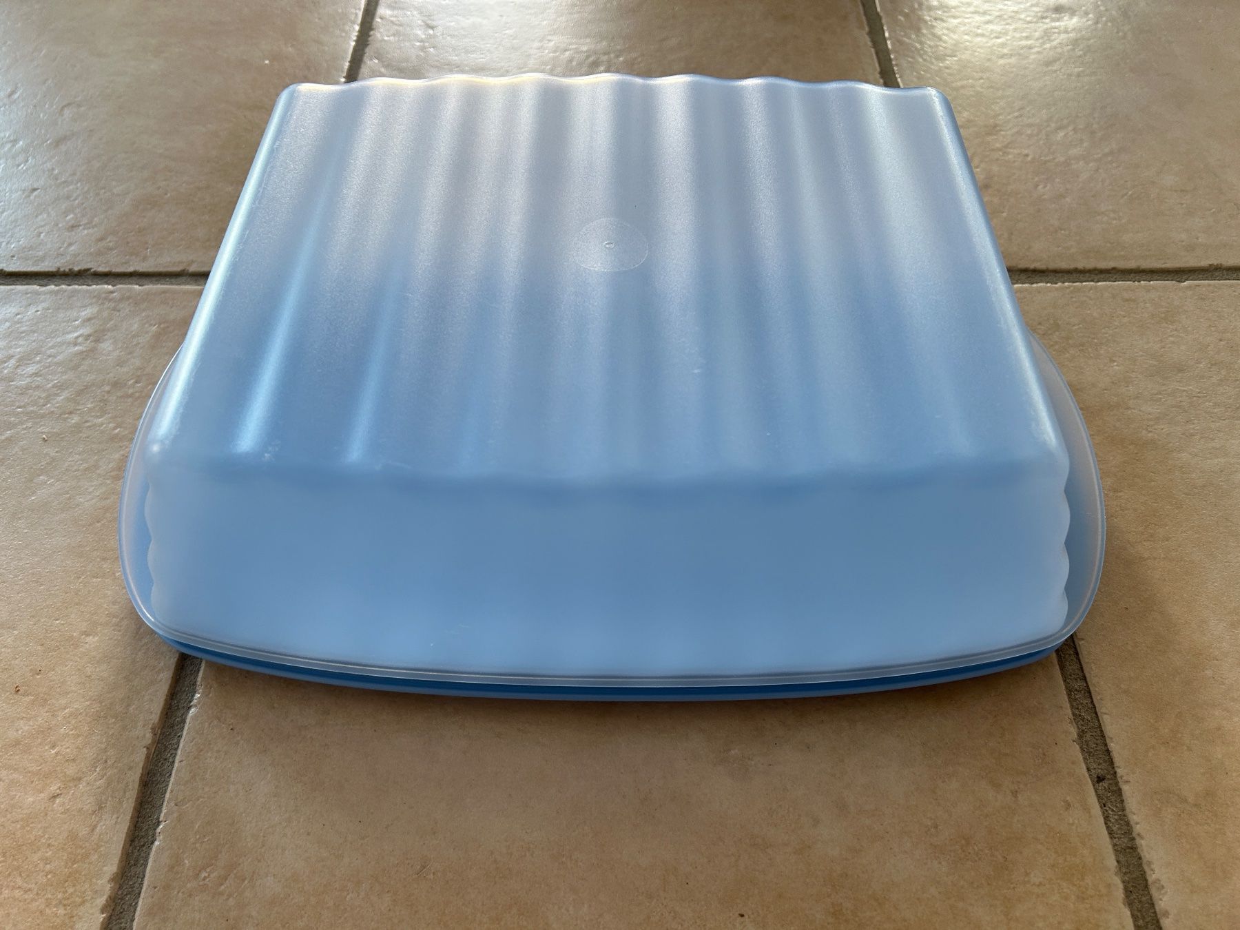 Tupperware Contenitori & Simili: Tupperware Junge Welle Behälter – Usato da Beatenberg venduto da buy2you