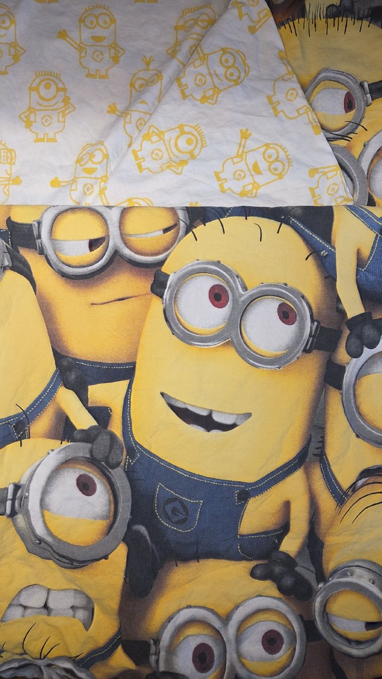 Biancheria da letto: Bettwäsche von Minions – Usato da Bargen BE venduto da pin_cgj5 2