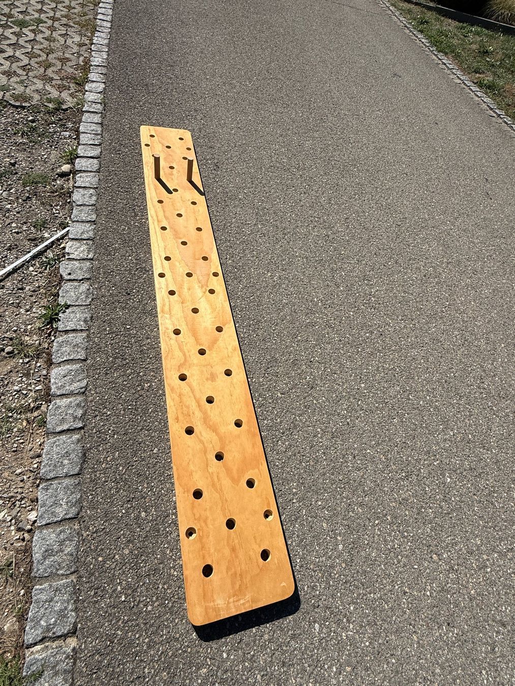 Pareti & prese d'arrampicata: Pegboard Crossfit – Usato da Umiken venduto da Krokus06 2
