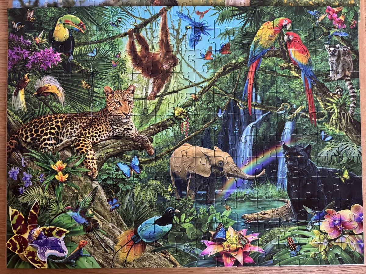 Ravensburger Puzzles: Puzzle 200 Teile – Gebraucht aus Stadel von nicibaer08