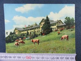 WEISSENSTEIN HOTEL KURHAUS SESSELBAHN 0BERDORF SO AK KUHHERD