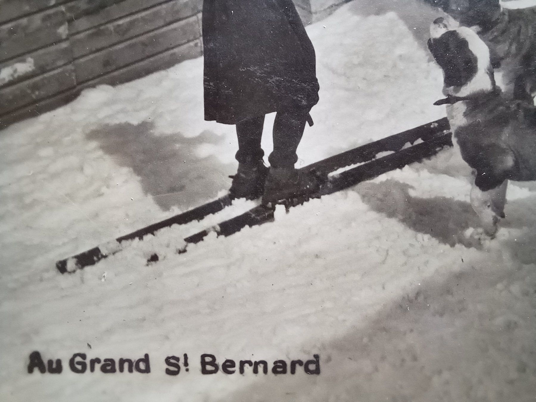 Cartoline postali: VS, "Au Grand St. Bernard" mit Nummer 5475. – Usato da Aarau Rohr venduto da mgvw 1