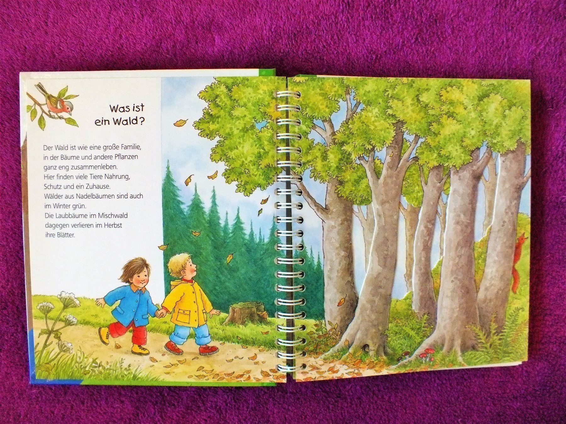 Libri: Wieso Weshalb Warum Junior Buch - Der Wald – Usato da Müllheim Dorf venduto da Seeeule01 1