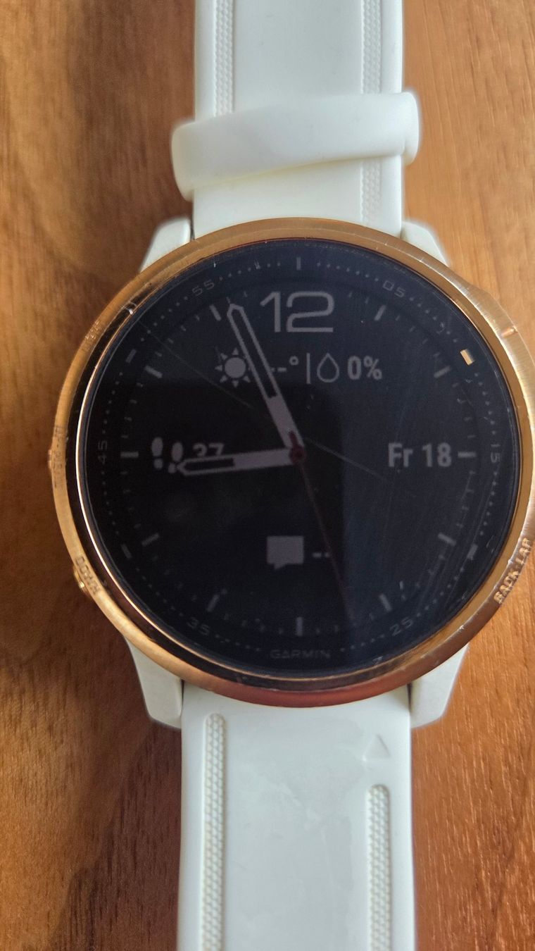 Garmin Smartwatch: Garmin Fenix 6 – Usato da Seengen venduto da JolNied 2