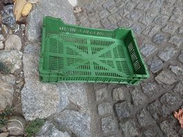 Gemüsekisten G3, es hätte 140 Stück